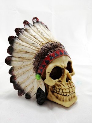 Keskin Kızılderili Kuru Kafa