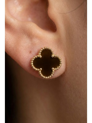 Aurrari Altın Kaplama Kahverengi Çelik Cleef Küpe