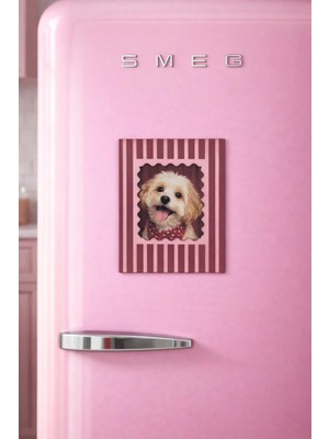 Keskatla Çizgili Pola Manyetik Fotoğraf Çerçevesi