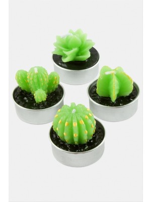 Kaktüs Mum Nemere