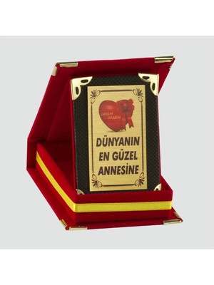 Dünyanın En Güzel Annesine Plaketi Nemere