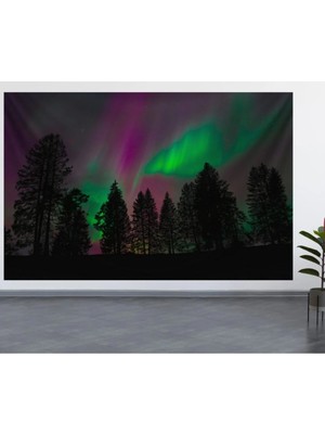 Alamodecor Kuzey Işıkları Doğa Manzara Duvar Örtüsü (70X100, 100X140, 140X200)