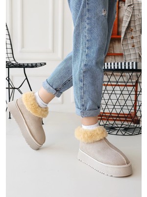 Indispensablely Edali Bej Süet Bot