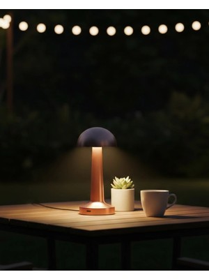 Modern Bronz Masa Lambası 3 Renk LED Dokunmatik Şarjlı Model Nemere