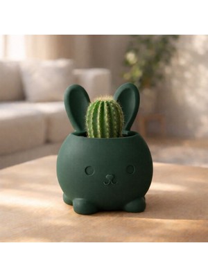 Basart Sevimli Tavşan Tasarımlı 3D Yazıcı Üretimi Dekoratif Mini Saksı ve Sukulent Kabı