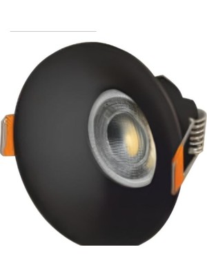 5 Adet Cata Ct 5091 Lion Siyah Spot Kasası