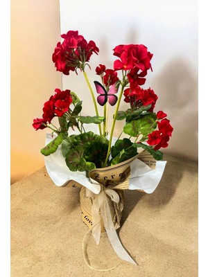 Sedosh Home Vision Kadınlar Gününe Özel Yapay Sardunya Aranjmanı –  Dekoratif Aksesuar