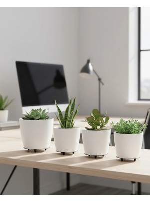 Shopwave 4’lü 3D Beyaz Minimal Dekoratif Vazo Ayaklı Saksı Takımı