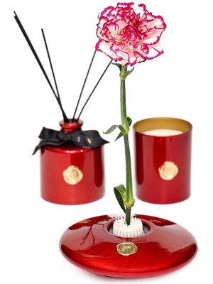 Özgürce Şık Kırmızı Cam Vazo, Zarif ve Modern Dekoratif Aksesuar