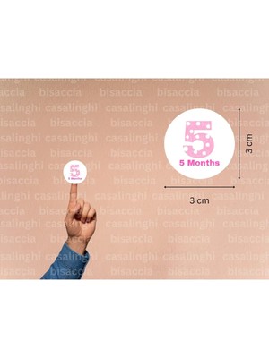 Casalinghi 3 cm (95 Adet) Ingilizce 5 Aylık Etiketi Pembe 5 Months Çıkartması Puanlı Beş Aylık Yuvarlak Mat