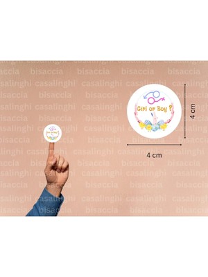 Casalinghi Ingilizce Cinsiyet Partisi Etiketi Girl Or Boy Erkek Mi Kız Mı Çocuk Mat Sticker 4 cm (90 Adet)