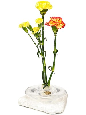 Özgürce Şeffaf Cam Vazo, Zarif ve Modern Dekorasyon Parçası