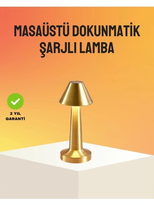 Aydogan's Modern Metal Masa Lambası 3 Işık Renkli Kademesiz Parlaklık Ayarlı