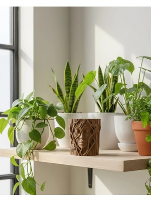 Aydogan's 3D Ağaç Gövdesi Formlu Yüz Figürlü Dekoratif Saksı Sanatsal Tasarım Vazo