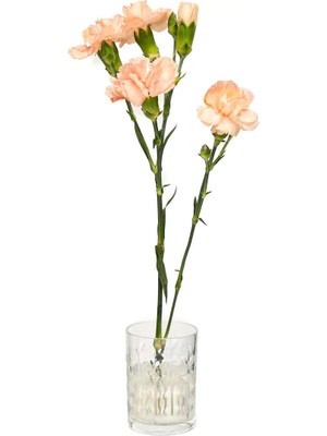 Özgürce Şeffaf Yaprak Kesme Cam Vazo, Modern ve Şık Dekorasyon Parçası