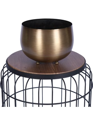 Özgürce Şık Metal Dekoratif Saksı 17 Cm, Modern ve Zarif Tasarım