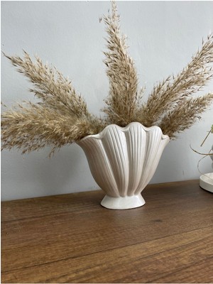 Özgürce Eşsiz Tasarımlı Şık Deniz Kabuğu Dekoratif Vazo