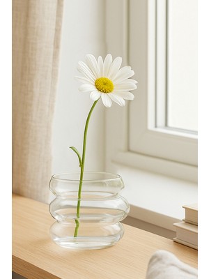 Özgürce Şeffaf Cam Mini Vazo Çiçeklik, Zarif ve Modern Tasarım