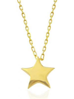 Supertrend Gümüş Gold Yıldız Kadın Kolye