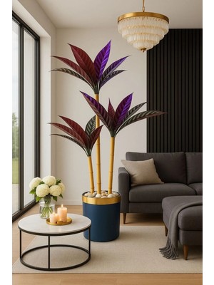 Altun Çiçekcilik Kılıc Yaprağı 3 Gövdeli Sıyah Gold Saksı Dahıl