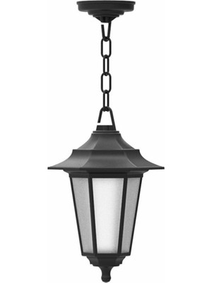 Horoz Begonya-3 Sarkıt (Siyah)