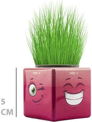 Urfakent Çim Adam Mini Küp Emoji Figürlü 1 Adet