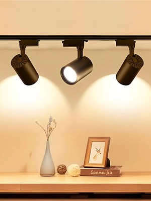 Cata CT-5334 Ledli Ray Spot 30W 3200K Günışığı