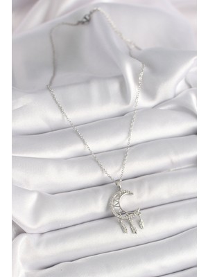 Fantastik Store 316L Çelik Gümüş Renk Zincir Zirkon Taşlı Hilal Model Sallantı Yaprak Detay Kadın Kolye - Lisinya