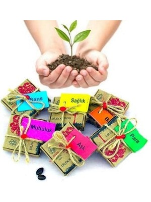 Fantastik Store Dilek Tohumları - Para - Lisinya