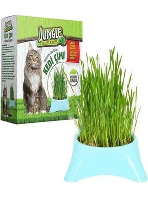 Braventa Collection -Fileli Kedi Çimi