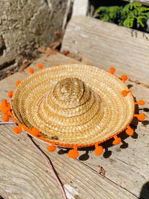 Aktez-El Mini Hasır Orijinal Meksika Kedi ve Köpek Şapkası