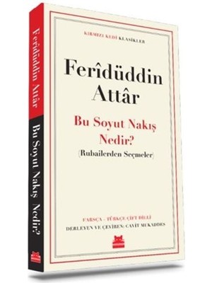 Kırmızı Kedi Yayınevi Bu Soyut Nakış Nedir?