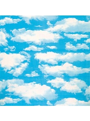 Işık Asma Tavan Karolam, Pvc, Gökyüzü Desen, 60X60 Cm, 8 mm