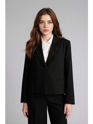 DeFacto Relax Fit Ceket Yaka Blazer Ceket G9308AX26SP