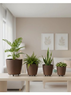 Kaia Life 4lü Vazo Kahverengi