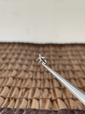 Aida Jewelss Gerçek Titanium G23 Uçak Titanyum 8x1.2mm Labret Piercing