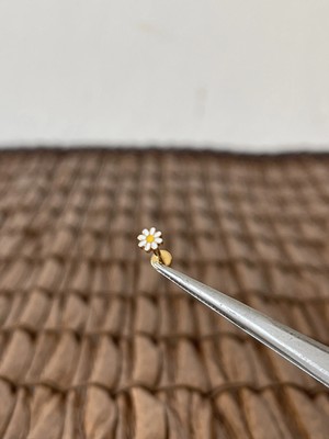 Aida Jewelss Gerçek Titanium G23 Papatya Altın Titanyum 6x1.2mm Labret Piercing