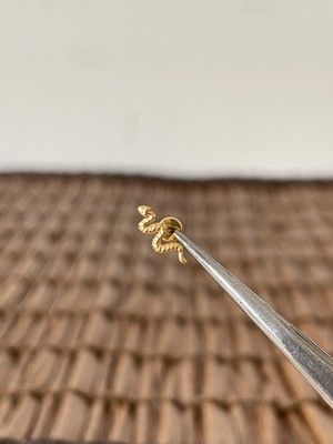 Aida Jewelss Gerçek Titanium G23 Yılan Titanyum Altın 6x1.2mm Labret Piercing