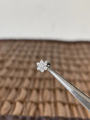 Aida Jewelss Gerçek Titanium G23 TT058 Zirkon Titanyum 7x1.2mm Labret Piercing