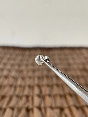 Aida Jewelss Gerçek Titanium G23 Shell Titanyum 7x1.2mm Labret Piercing