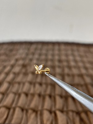 Aida Jewelss Gerçek Titanium G23  Kelebek Zirkon Altın Titanyum 6x1.2mm Labret Piercing