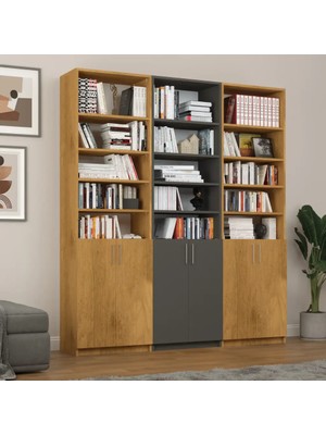 Kone Haus Trüttensh Petra - Koyu Gri Çok Amaçlı Modern Düzenleyici Raf KH2647