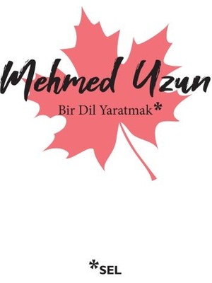 Bir Dil Yaratmak