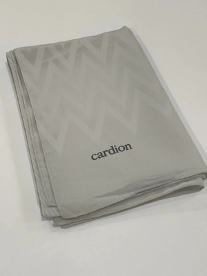 Cardion Jakarlı Şal Zigzag Desen Taş