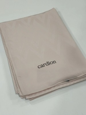 Cardion Jakarlı Şal Zigzag Desen Pudra