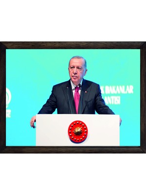 Lioncraft Cumhurbaşkanımız Recep Tayyip Erdoğan, Çerçeveli Cam Duvar Tablosu 60X90 cm Sp9