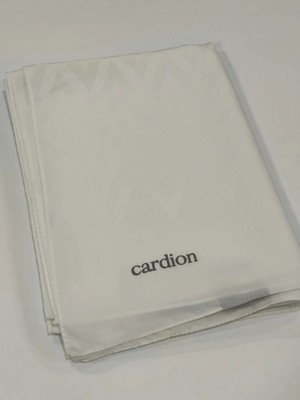 Cardion Jakarlı Şal Zigzag Desen Kırık Beyaz