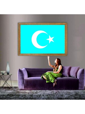 Lioncraft Göktürk Devleti Bayrağı Tablo, Çerçeveli Cam Tablo 80X110 cm
