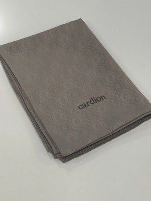 Cardion Jakarlı Şal Hologram Desen Vizon