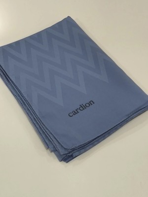Cardion Jakarlı Şal Zigzag Desen Açık Mavi